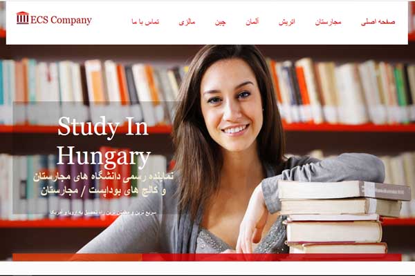 طراحی وب سایت شرکتی | قالب تمیز، ریسپانسیو و چندکاربردی - تصویر 6